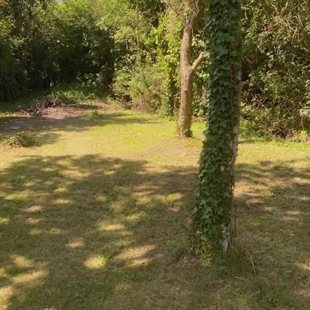 Hotel Stansted Glamping Broxted Zewnętrze zdjęcie